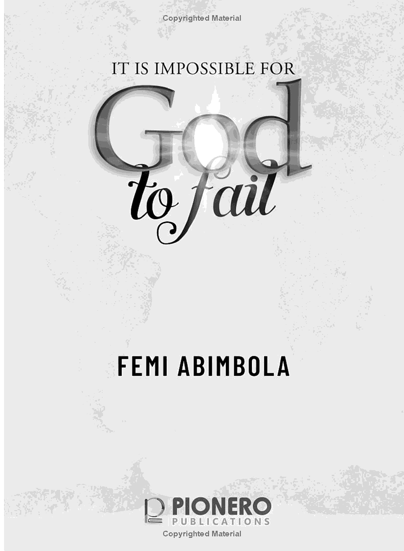 Femi Abimbola Book Preview 3